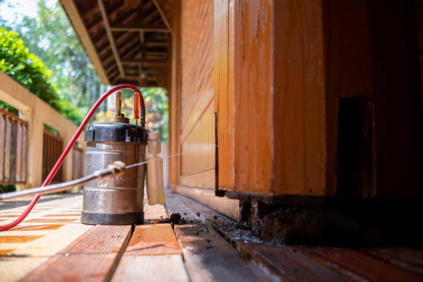 Best Cockroach Control Services  in Sylvania, GA