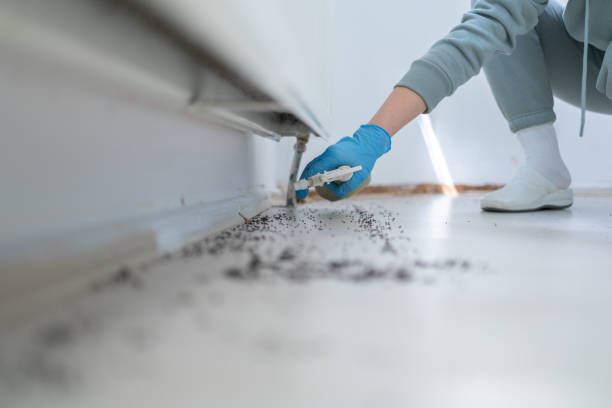 Best Wasp Removal Services  in Sylvania, GA