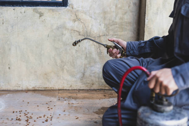 Best Termite Control Services  in Sylvania, GA